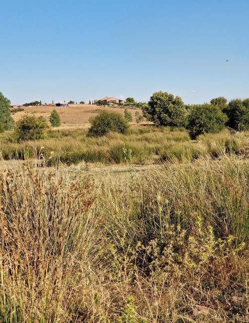 casa rural yeguada jimenez latorre